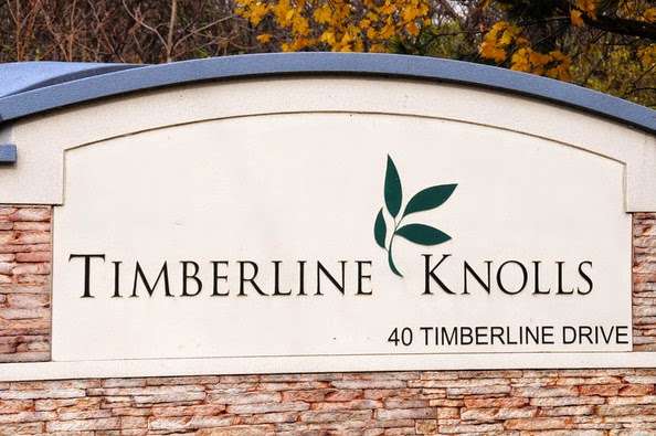 Timberline Knolls Residential Treatment Center | 40 Timberline Dr, Lemont, IL 60439 | Phone: (844) 335-1809