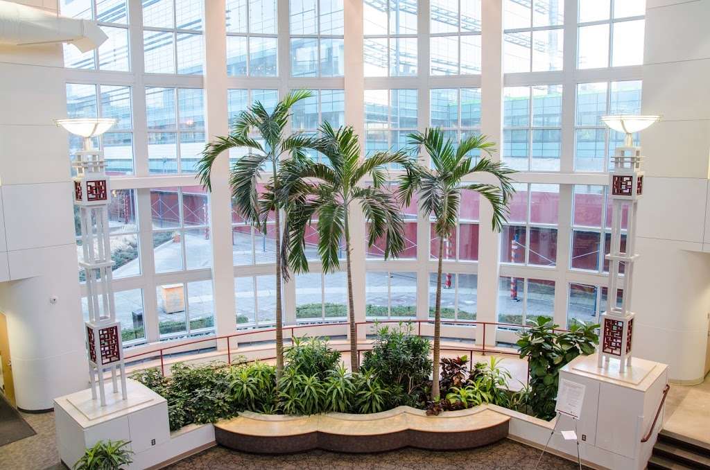 Loyola Center for Fitness | 2160 S 1st Ave building 130, Maywood, IL 60153, USA | Phone: (708) 327-2348