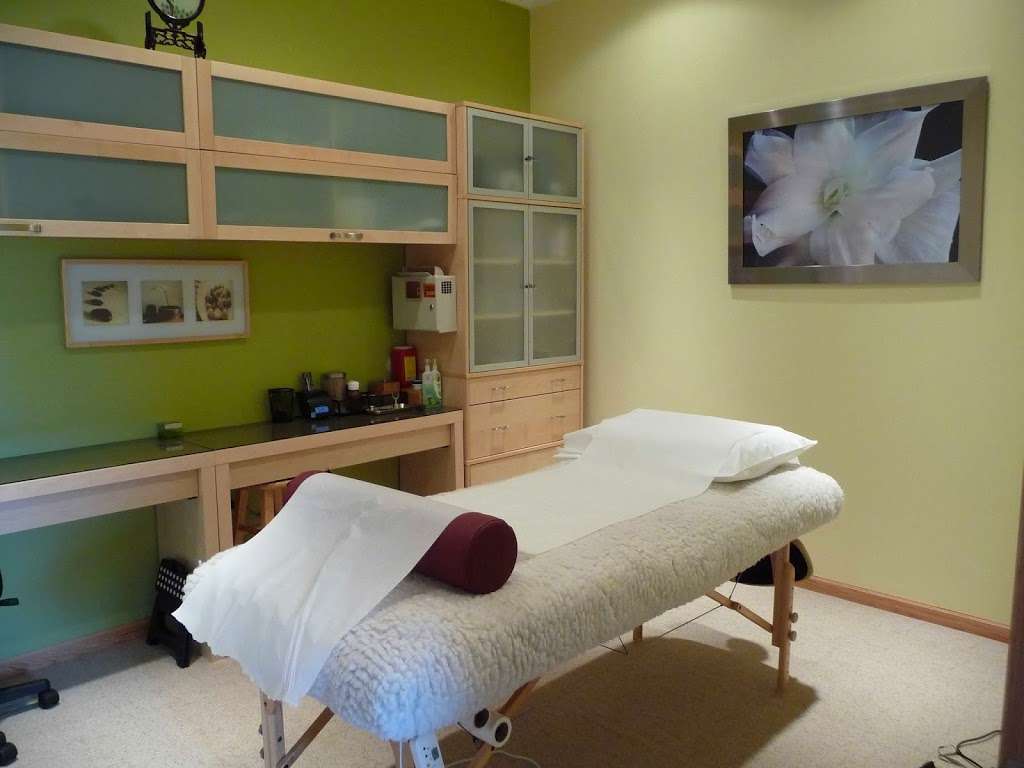 Shiu Healing Touch Acupuncture | 15252 W 143rd St, Homer Glen, IL 60491, USA | Phone: (708) 740-0279