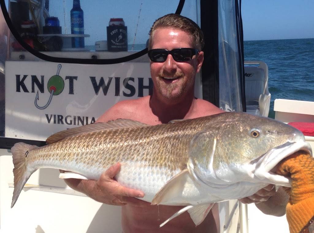 Knot Wishn Custom Charters | FISHERMANS WHARF MARINA SLIP #81, 524 Winston Salem Ave, Virginia Beach, VA 23451 | Phone: (757) 641-0139