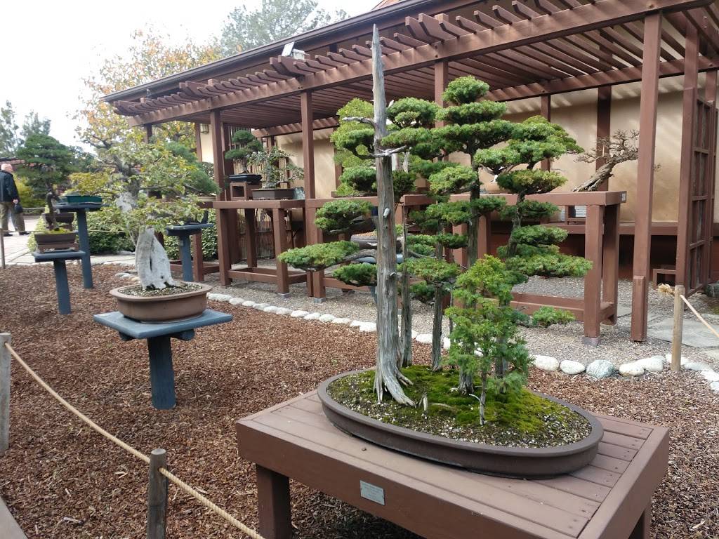 Japanese Friendship Garden | 2215 Pan American Rd E, San Diego, CA 92101, USA | Phone: (619) 232-2721