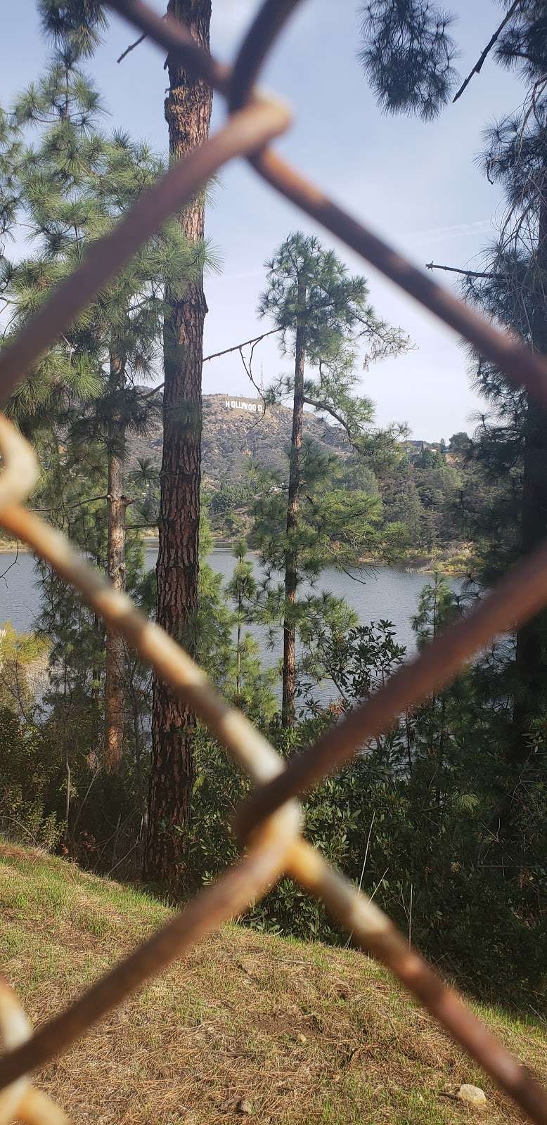 Hollywood Reservoir Trailhead | 6381-6399 Weidlake Dr, Los Angeles, CA 90068, USA