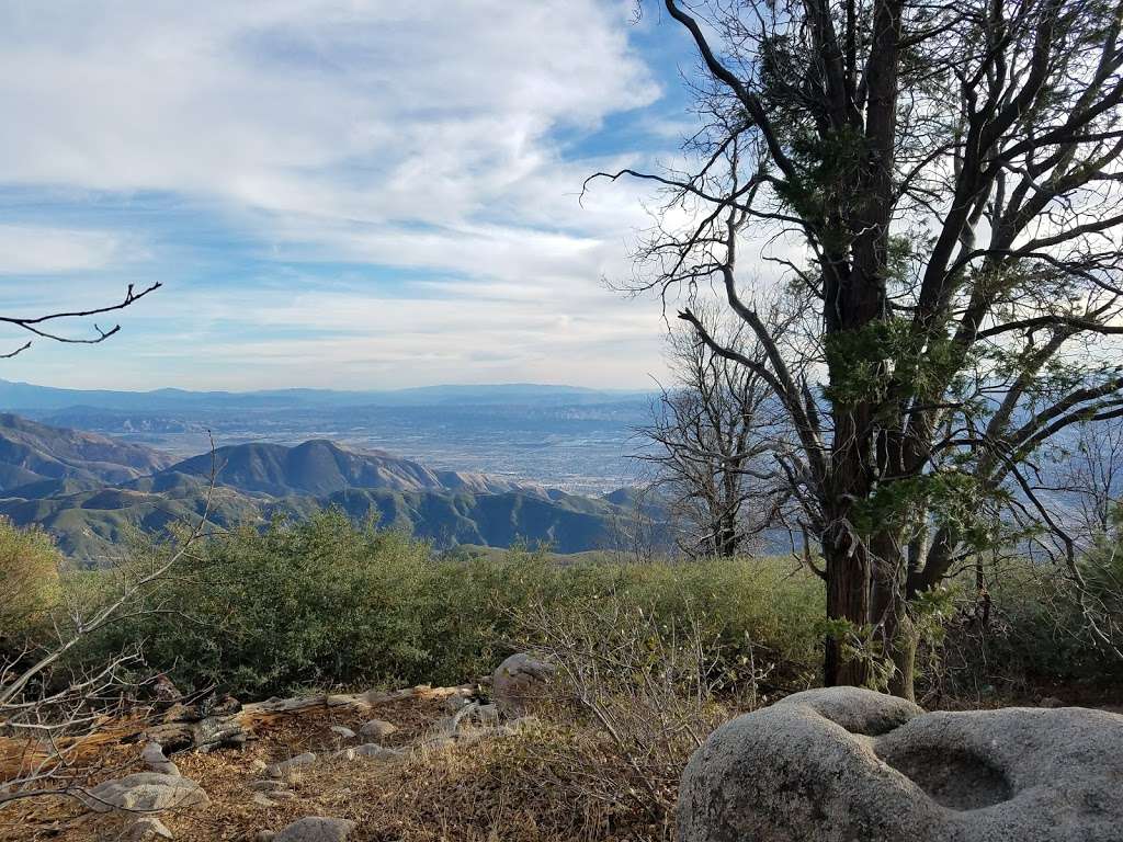 Baylis Park (Picnic Ground) | 25400, 25536 Rim of the World Hwy, Crestline, CA 92325, USA