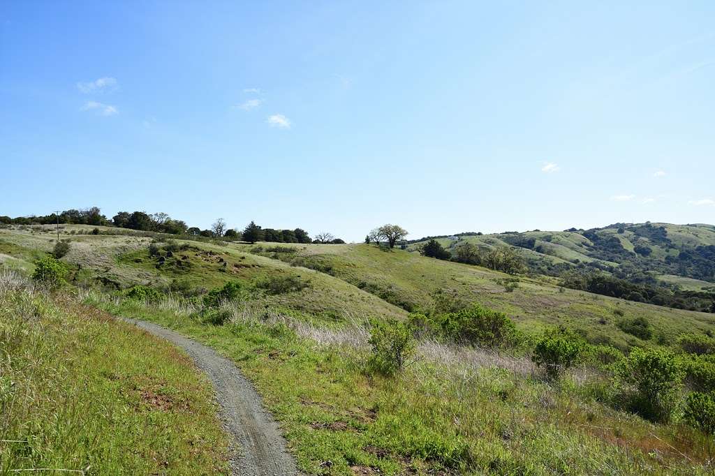 Monte Bello Open Space Preserve | 19480 Bear Creek Rd, Los Gatos, CA 95033, USA | Phone: (650) 691-1200