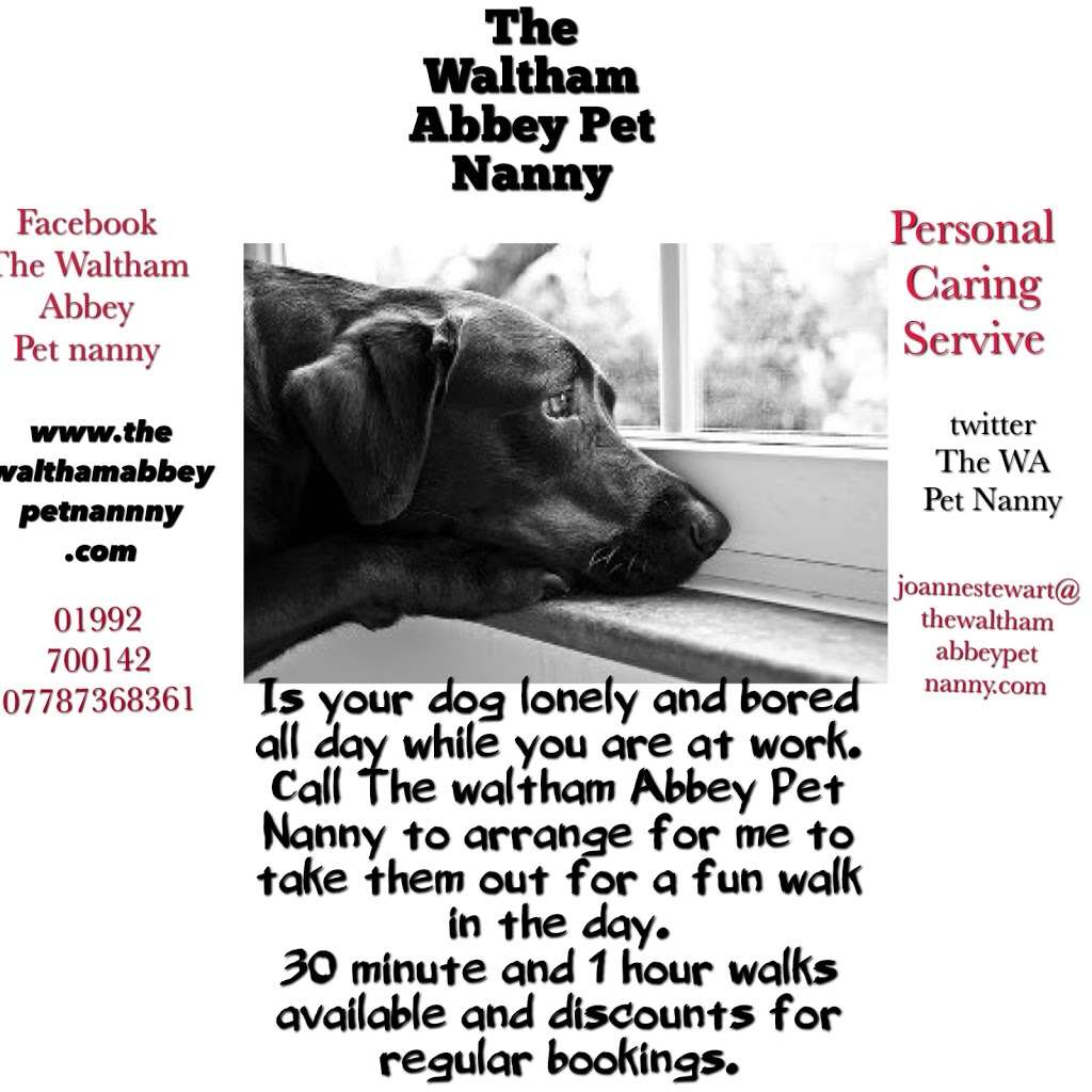 The Waltham Abbey Pet Nanny | 21 Walton Gardens, Waltham Abbey EN9 1BL, UK | Phone: 01992 700142