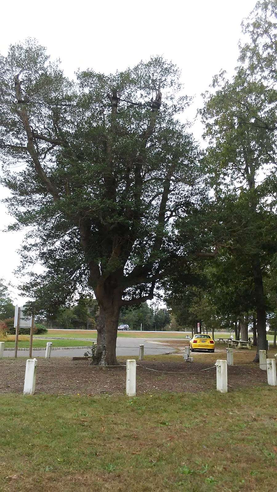 Rest Area | Garden State Pkwy, Ocean View, NJ 08230, USA