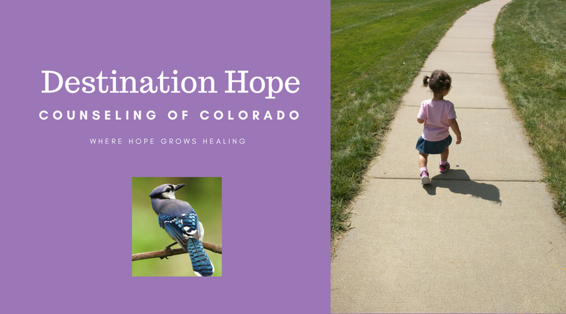 Destination Hope Counseling of Colorado, LLC | 827 Thornwood Cir, Longmont, CO 80503, USA | Phone: (720) 689-9179