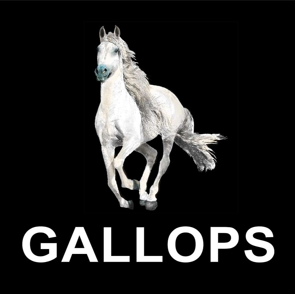 Gallops Michigan City | 1615 Hwy 20, Michigan City, IN 46360, USA | Phone: (219) 878-9778