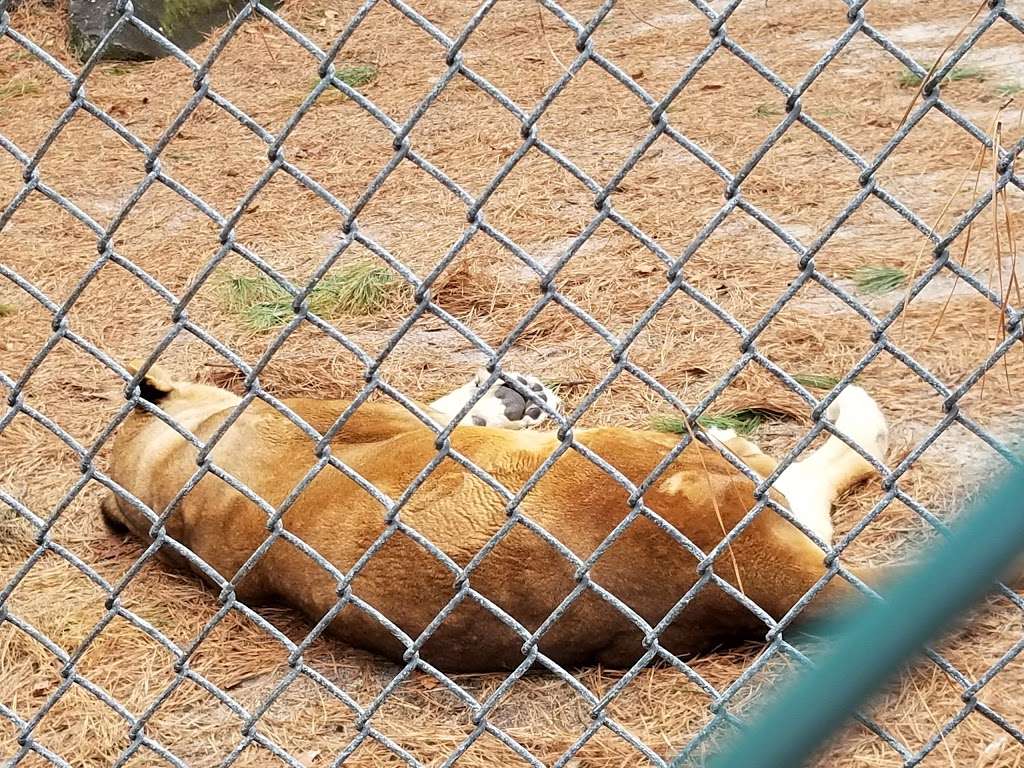 Popcorn Park Zoo | 1 Humane Way, Forked River, NJ 08731, USA | Phone: (609) 693-1900