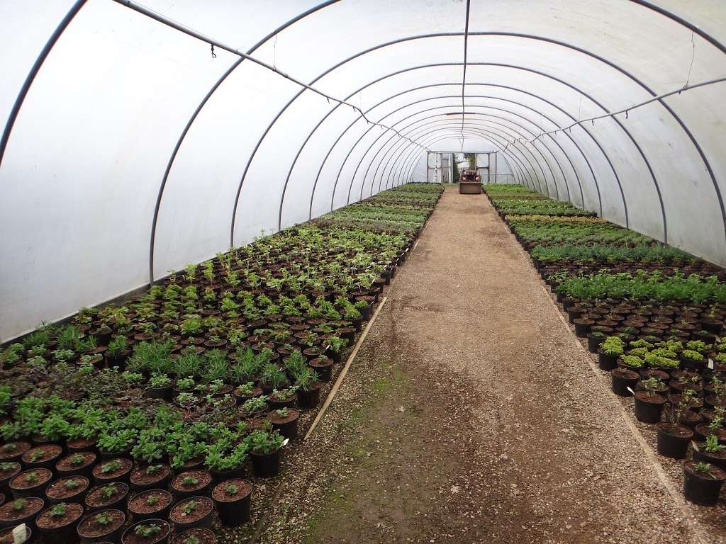 Platts Horticulture | Hartfield Rd, Edenbridge TN8 5NH, UK | Phone: 01732 867887