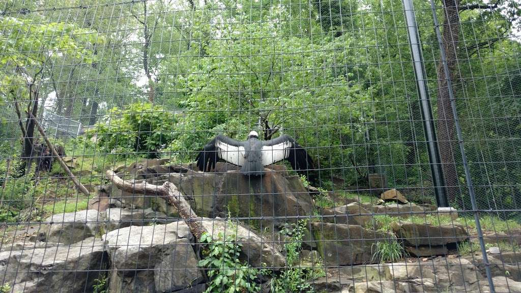 Brandywine Zoo | 1001 N Park Dr, Wilmington, DE 19802, USA | Phone: (302) 571-7747