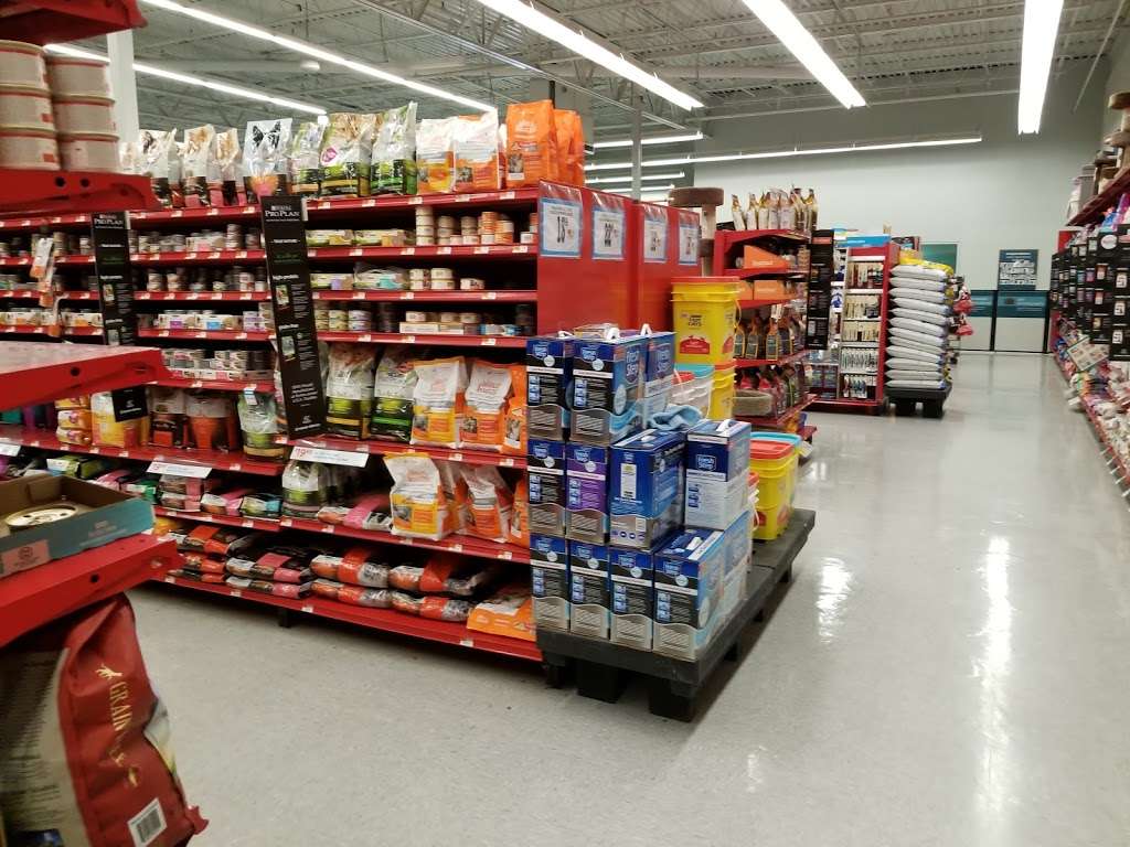 Petco Animal Supplies | 2230 Marlton Pike W ste 3, Cherry Hill, NJ 08002, USA | Phone: (856) 488-0643