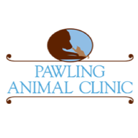 Pawling Animal Clinic | 550 NY-22, Pawling, NY 12564, USA | Phone: (845) 855-3316