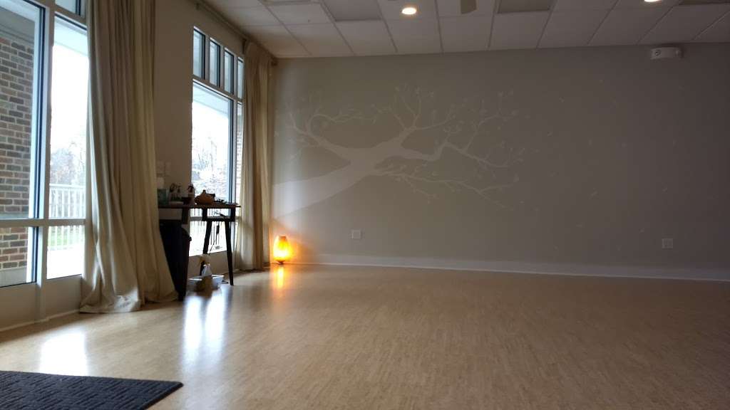 YogaSoul | 64 Princeton Hightstown Rd, Princeton Junction, NJ 08550, USA | Phone: (609) 799-4791