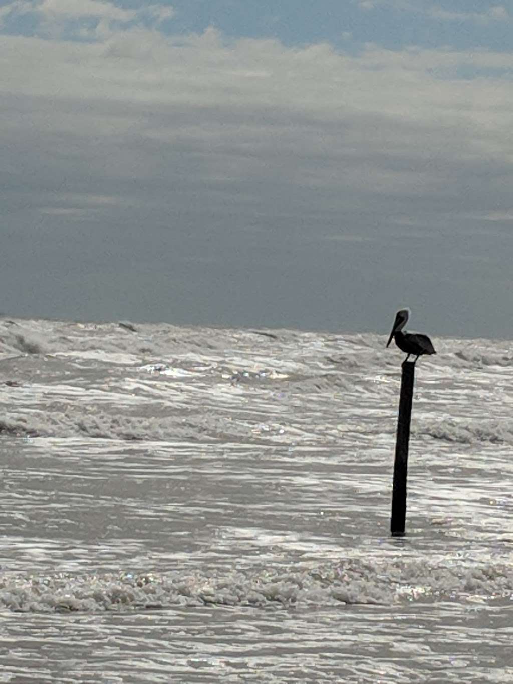 Sea Shell Beach Pocket Park 3 11 Mile Rd & hwy 3005 Galveston, TX 77554, FM3005, Galveston