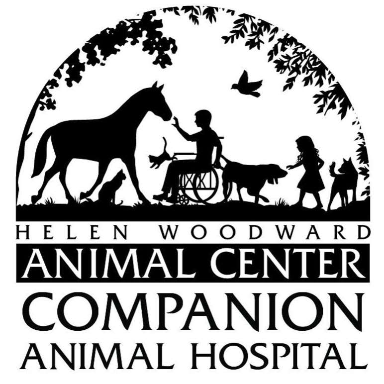 Helen Woodward Animal Center Companion Animal Hospital | 6523 Helen Woodward Way #200, Rancho Santa Fe, CA 92067, USA | Phone: (858) 756-4469