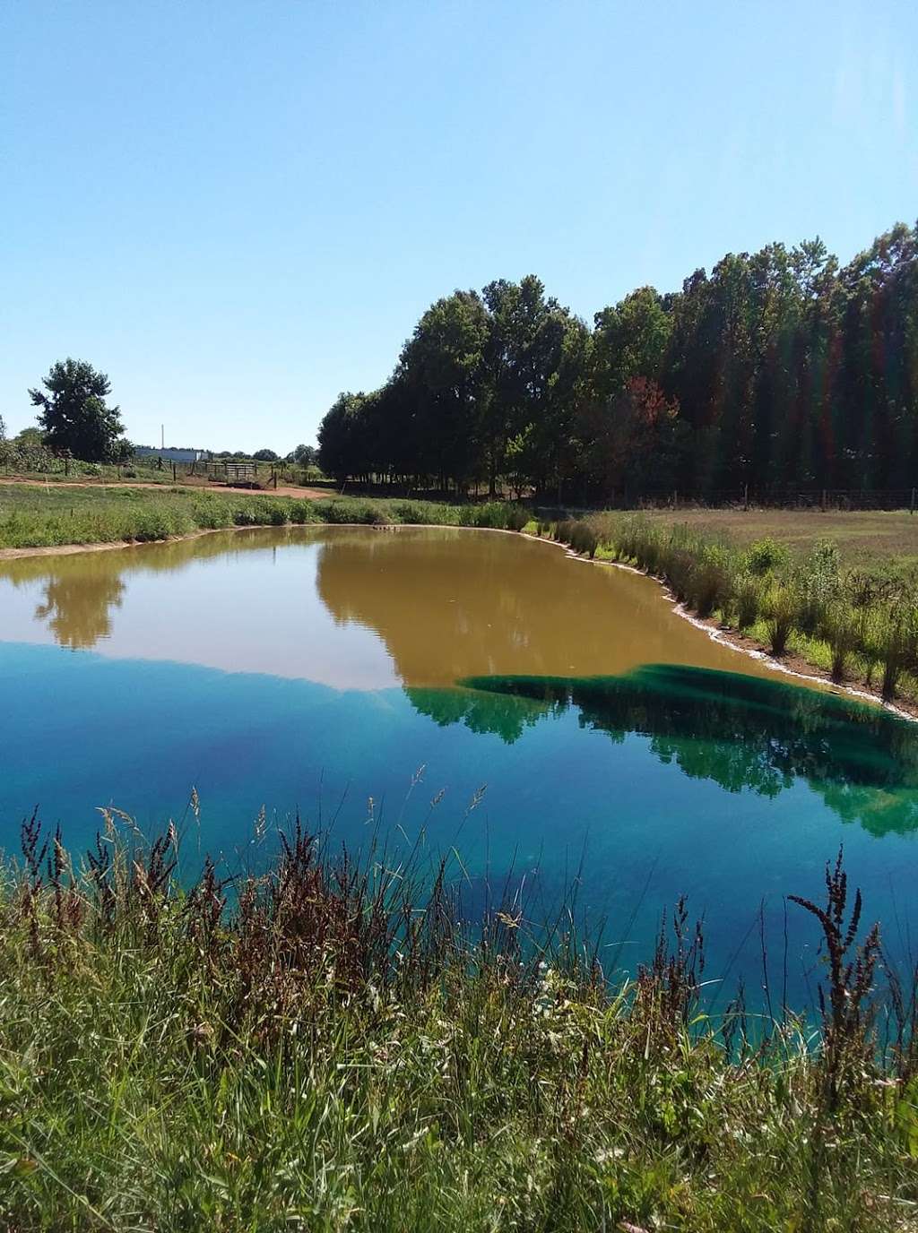 Southern Pond Management | 5014 Plyler Mill Rd, Monroe, NC 28112, USA | Phone: (704) 309-7235