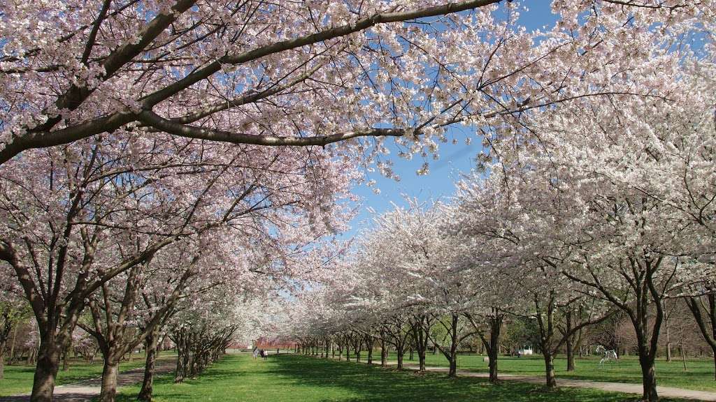 Centennial Arboretum | Montgomery Dr, Philadelphia, PA 19131, USA | Phone: (215) 685-0096