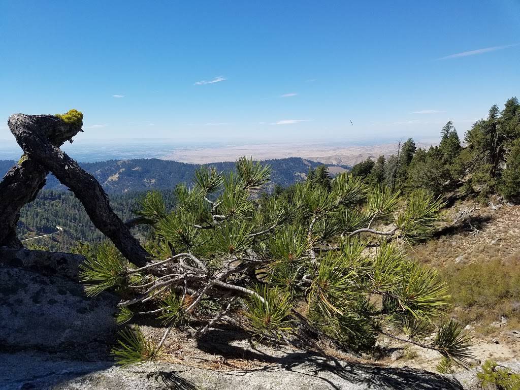 Shafer Butte Campground & Picnic Areas | Boise National Forest, Forest Rd 374E, Boise, ID 83716 | Phone: (877) 444-6777