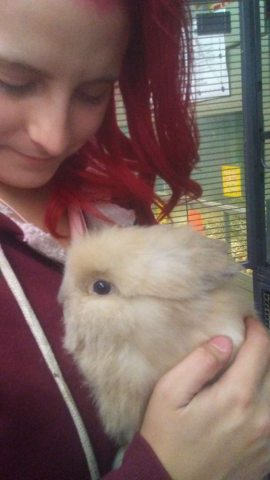 Mayos Pets & More | 175 W Main St, Northborough, MA 01532, USA | Phone: (508) 393-7077