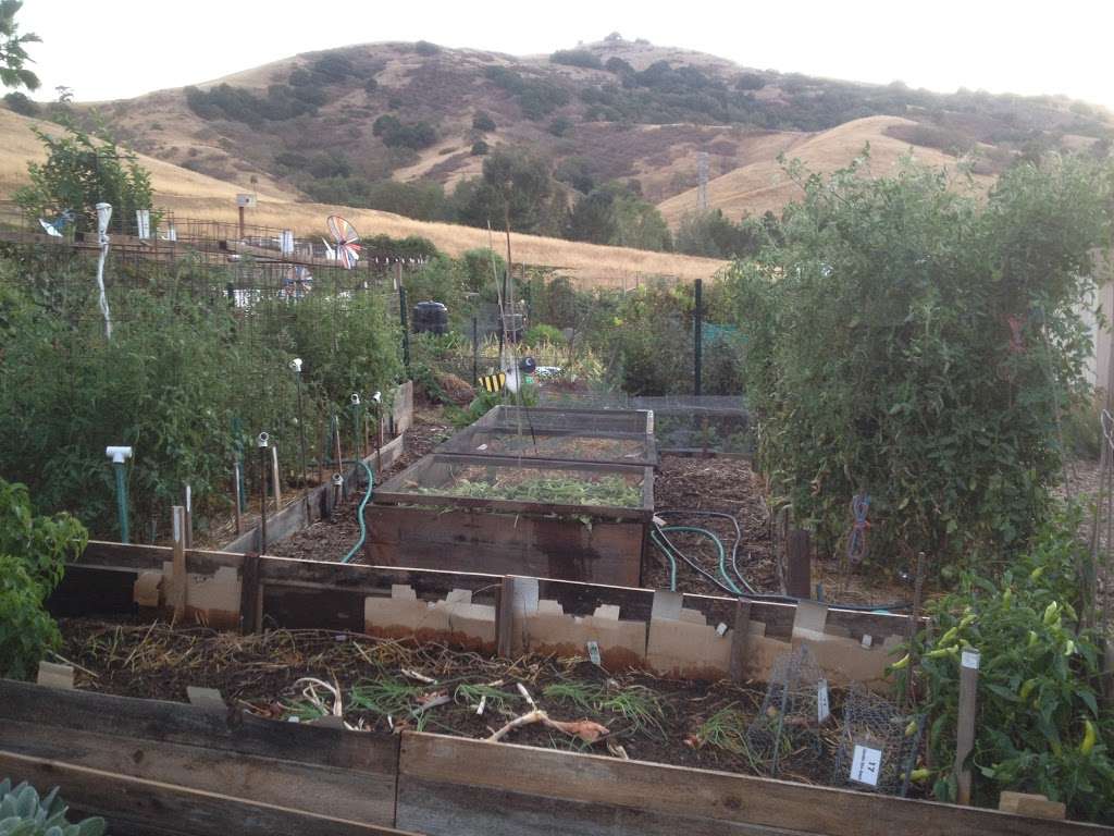 Community garden | San Jose, CA 95139, USA