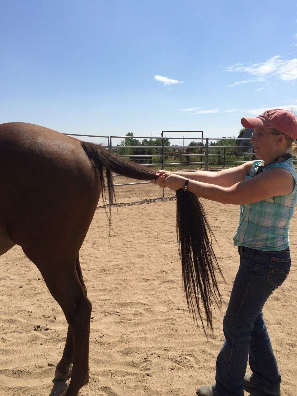 Equestriafitness and Physical Therapy | 8707, 2590 W 148th Ct, Broomfield, CO 80023, USA | Phone: (720) 201-6782