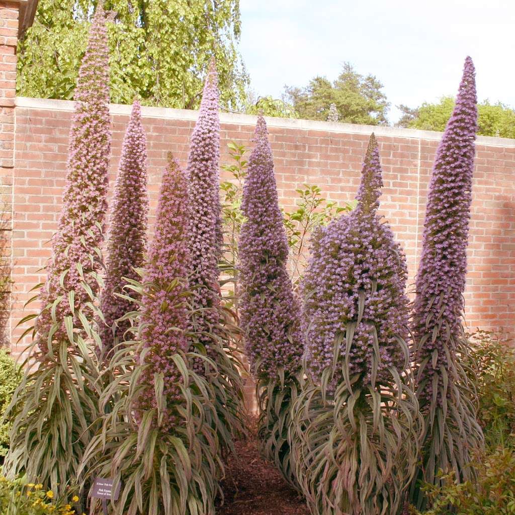 English Walled Garden | Glencoe, IL 60022, USA