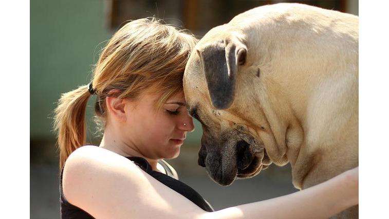 Doggies Gone Wild | 16555 NW 13th Ave, Miami Gardens, FL 33169, USA | Phone: (305) 563-8797