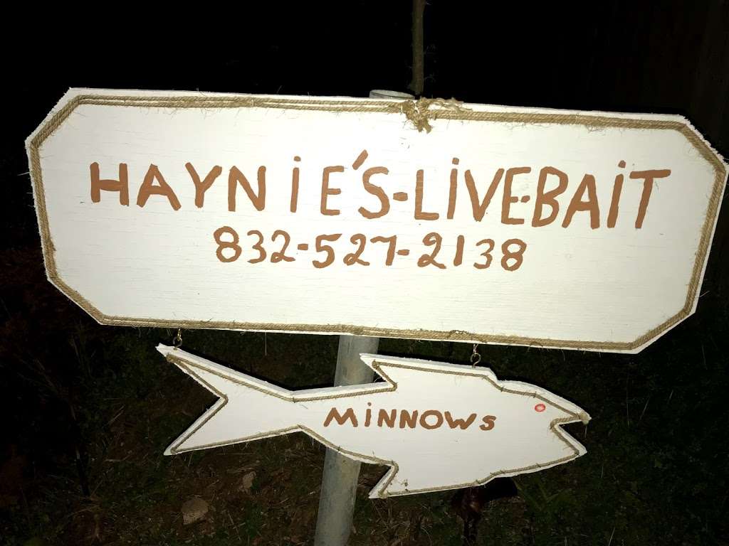 Haynies Live Bait | 4630 Dunnam Rd, Kingwood, TX 77365, USA | Phone: (832) 527-2138