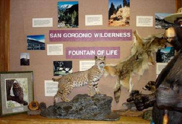 Mill Creek Visitor Center | 34701 Mill Creek Rd, Mentone, CA 92359 | Phone: (909) 382-2882