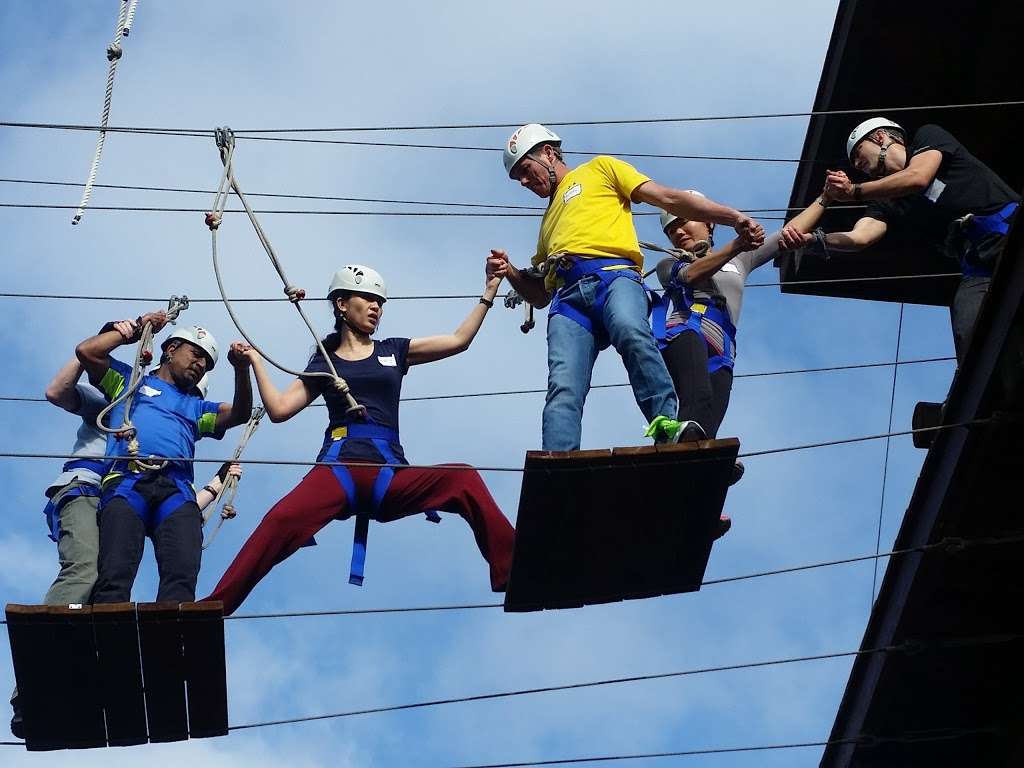 Challenge Course | 9931-, 10199 Hopkins Dr, La Jolla, CA 92093, USA