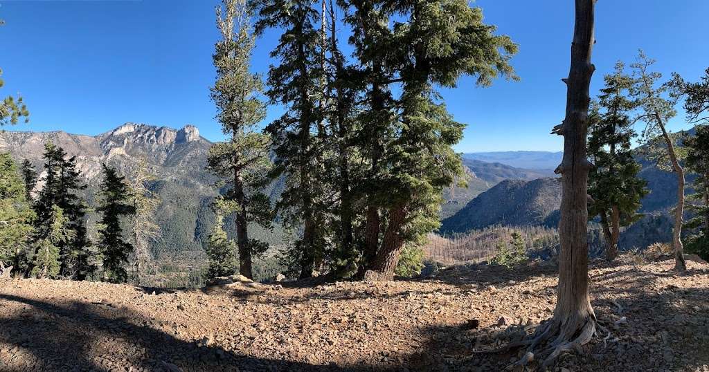 Echo Overlook | South Loop, Mt Charleston, NV 89124, USA