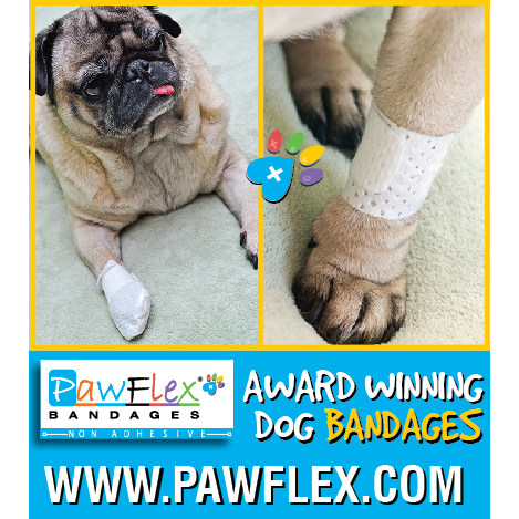 PawFlex | 290 Spagnoli Rd, Melville, NY 11747, USA | Phone: (718) 648-8685