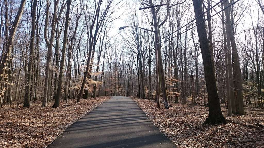 North Mount Loretto State Forest | 6450 Hylan Blvd, Staten Island, NY 10309 | Phone: (718) 482-4900