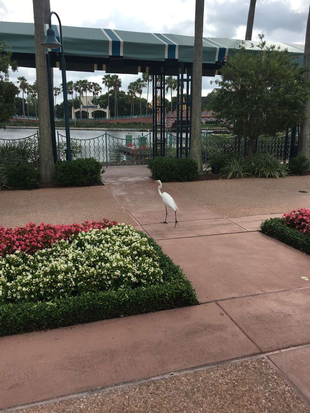 Boat Launch Walt Disney World Dolphin Hotel | Kissimmee, FL 34747