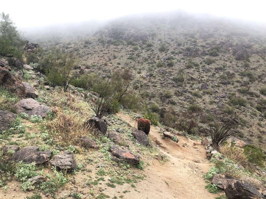 Observation Point | Scott Ridge Trail, Phoenix, AZ 85042, USA