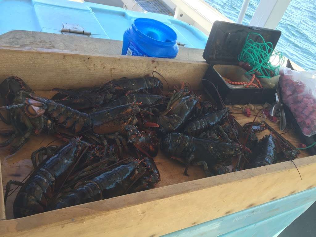 Captain Bobs Lobster Tours & Fishing Charters | 1 Ocean Blvd, Hampton, NH 03842, USA | Phone: (603) 231-1698