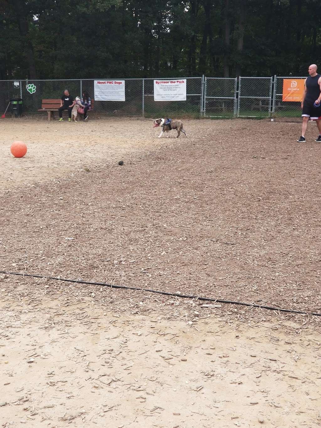 Prince William County Dog Park | Minnieville Rd, Lake Ridge, VA 22192, USA | Phone: (703) 792-6000