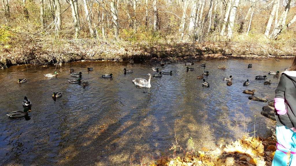 Massapequa Preserve | Oyster Bay, NY