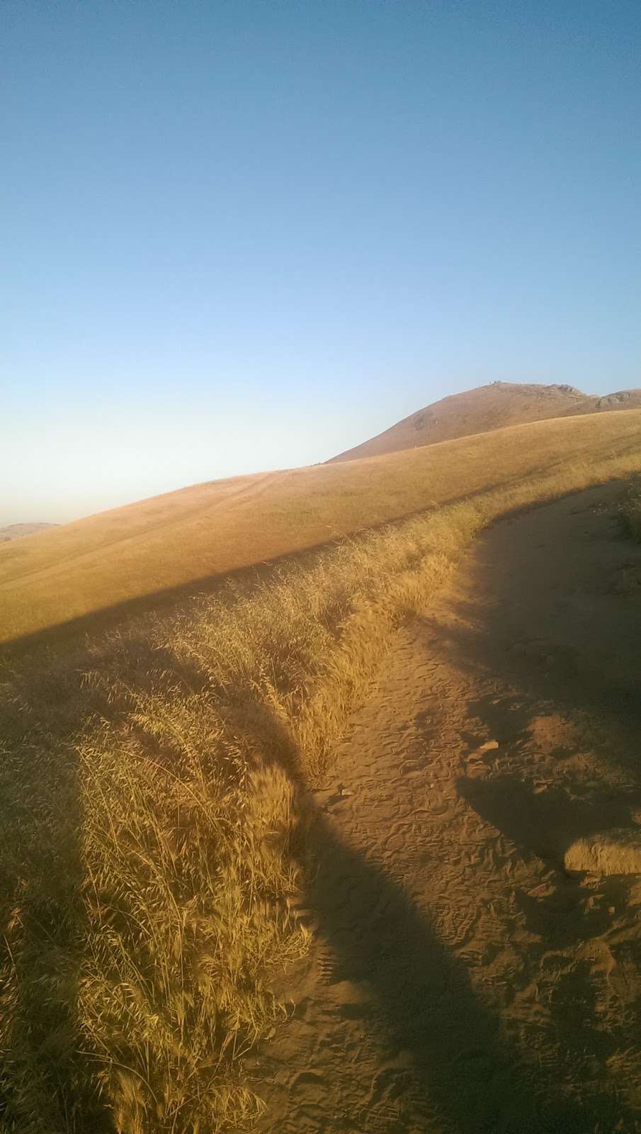 Mission Peak Paragliding and Hang Gliding Landing Zone | Fremont, CA 94539, USA | Phone: (510) 544-2222