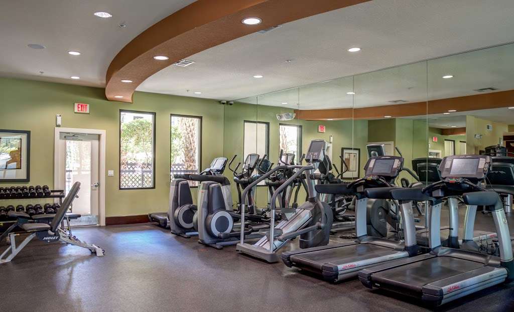 The Circle at Hermann Park - Amalfi Apartments | 3 Hermann Museum Cir Dr, Houston, TX 77004 | Phone: (713) 524-2448