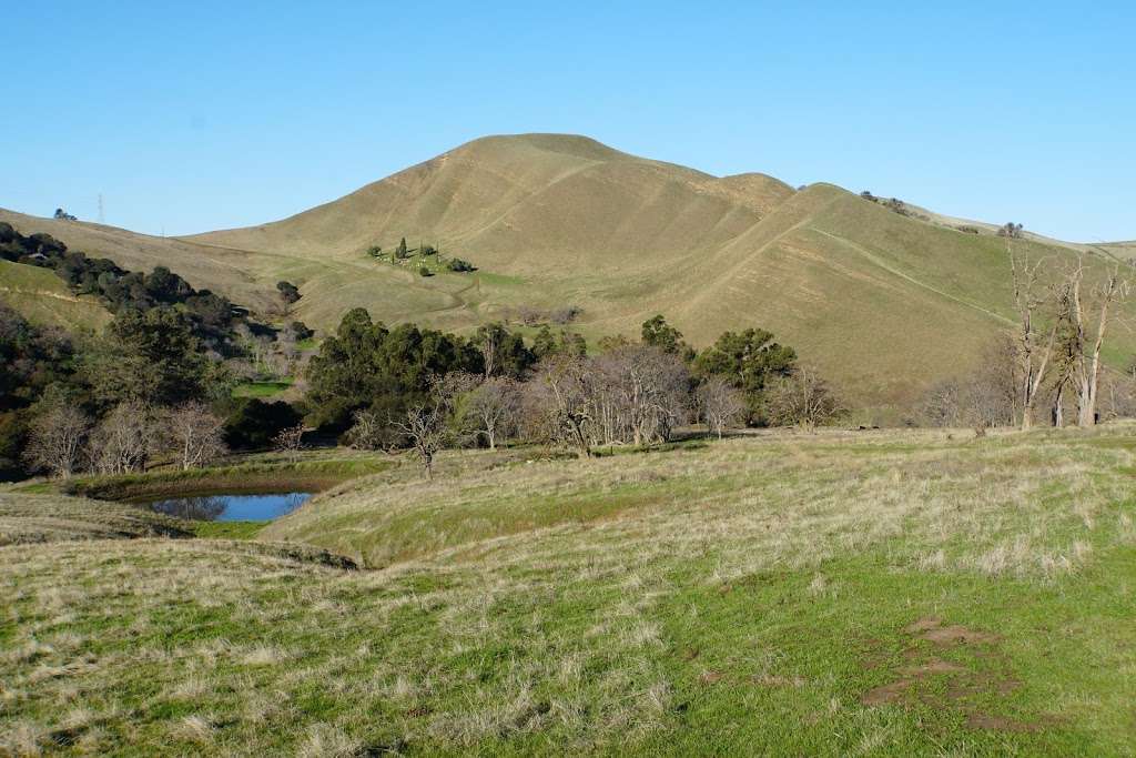 Black Diamond Mines Regional Preserve | 5175 Somersville Rd, Antioch, CA 94509, USA | Phone: (510) 544-2750