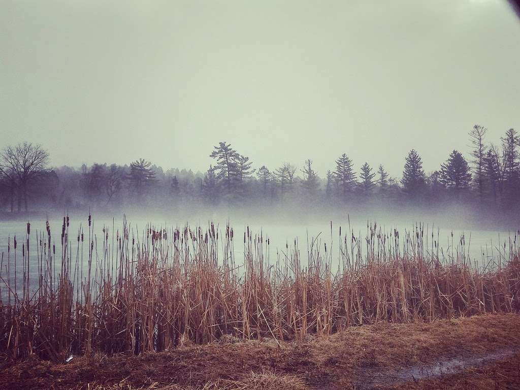 Fox River Fen Nature Preserve | Dundee Township, IL 60118, USA | Phone: (217) 785-8686