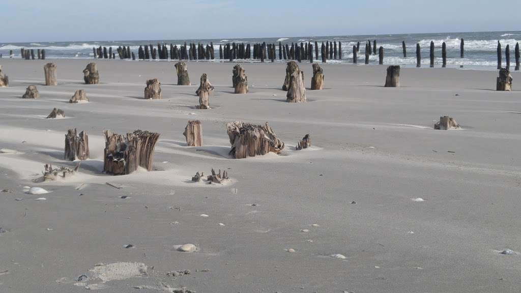 North Brigantine State Natural Area | Brigantine, NJ 08203