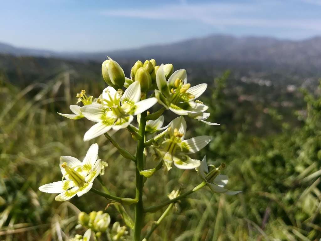 Cherry Canyon MTB Trail Start Point-Gate | 4079 Forest Hill Dr, La Cañada Flintridge, CA 91011, USA