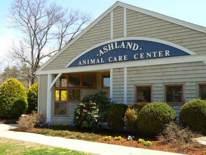 Ashland Animal Hospital | 10 Fountain St, Ashland, MA 01721, USA | Phone: (508) 881-2400