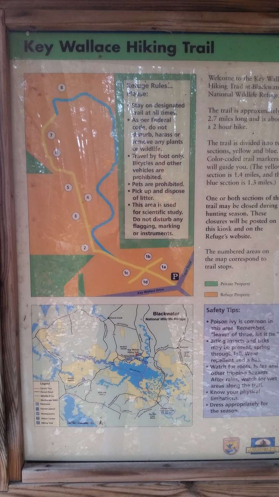 Key Wallace Hiking Trail - Blackwater National Wildlife Refuge | 4200 Egypt Rd, Cambridge, MD 21613, USA