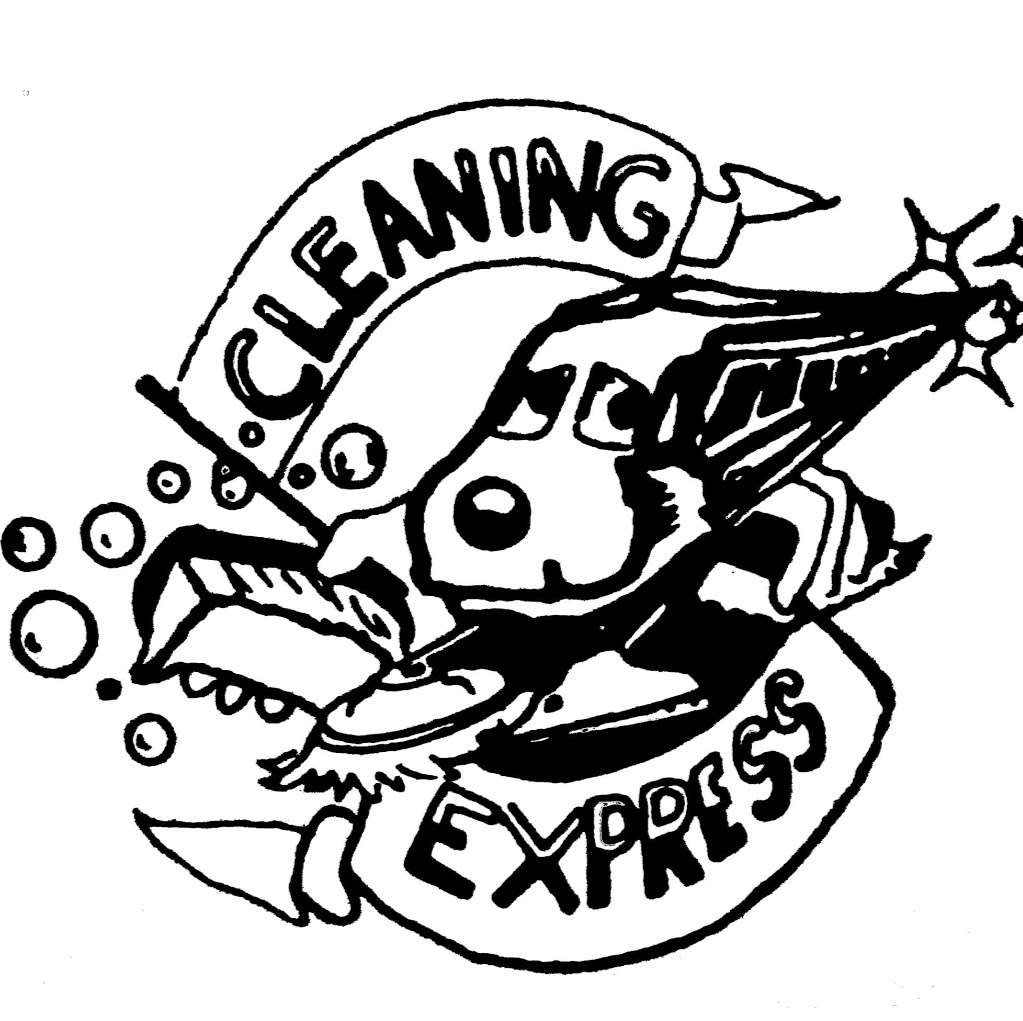 Cleaning Express | 178 E 6th St, Wyoming, PA 18644, USA | Phone: (570) 693-1225