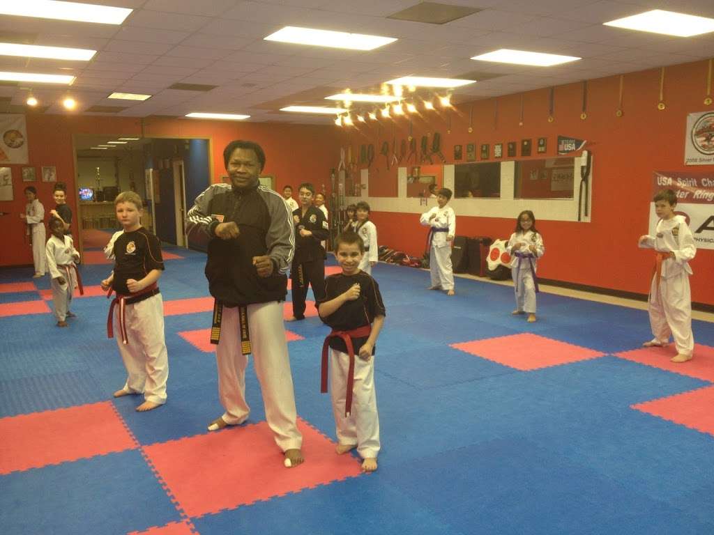 USA Spirit Martial Arts Academy | 946 N State St, Lockport, IL 60441, USA | Phone: (815) 834-1918