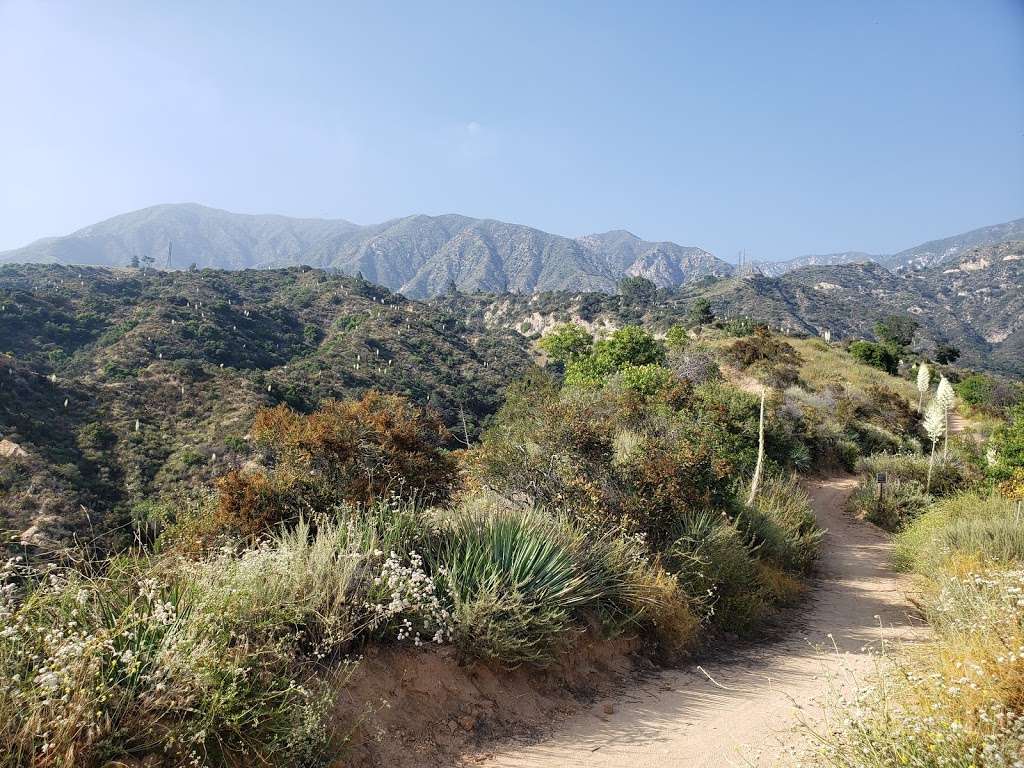 Altadena Crest Trail | Unnamed Road, Altadena, CA 91001, USA